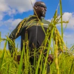 Guinée : un accord de 34 millions $ avec la FAO pour atteindre l’autosuffisance alimentaire d’ici 2040