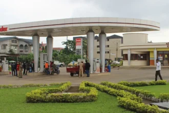 Guinée équatoriale : Tradex relance son expansion avec un plan d’investissement de 10 milliards FCFA en 2026