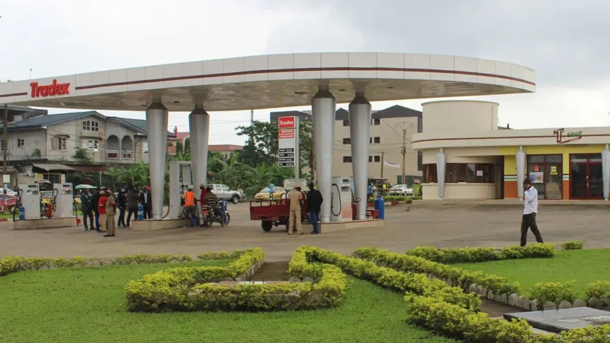 Guinée équatoriale : Tradex relance son expansion avec un plan d’investissement de 10 milliards FCFA en 2026