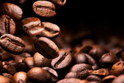 arabica cameroun