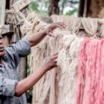 Kenya : 1,9 Million t de bananes produites/an les fibres agricoles, un nouveau gisement économique à exploiter