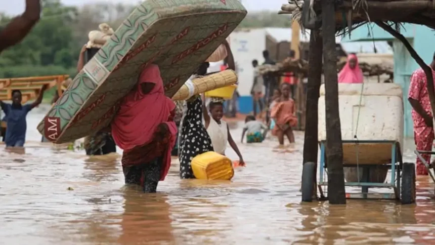 Extrême-Nord Cameroun : 89 milliards de FCFA de la BAD pour booster l’emploi et l'entrepreneuriat 1 Cameroun : près de 89 milliards FCFA mobilisés pour l’employabilité et l’entrepreneuriat dans l’Extrême-Nord