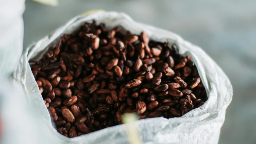 Cacao Ivoirien : les coopératives perdent plus de 30 milliards FCFA (PICD) 1 Ghana : 50 000 tonnes de cacao bloquées dans les ports, un choc de trésorerie menace 15 % des exportations