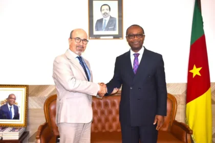 les secteurs prioritaires du financement des PME au Cameroun soutenus par la BEI