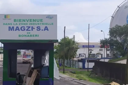 Zones Économiques Spéciales au Cameroun : 5 nouvelles régions pour booster l’industrie. Magzi, CVUC, CEA