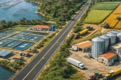 Tilapia : à Mekin, le Cameroun veut réduire une facture de 167 milliards FCFA avec IPM SA