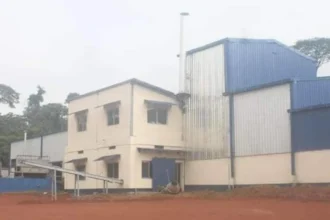 Sangmélima en suspens : l’usine de manioc paralysée et la filière agricole fragilisée