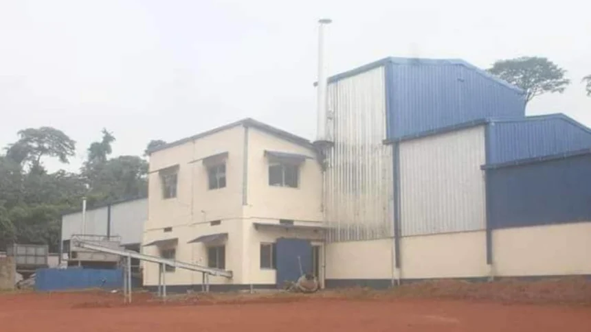 Cameroun : Sotramas, le naufrage industriel du manioc à Sangmélima 1 Sangmélima en suspens : l’usine de manioc paralysée et la filière agricole fragilisée