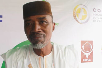 Adama Coulibaly (CEA) : « l'Afrique doit financer elle-même la construction de son marché commun »