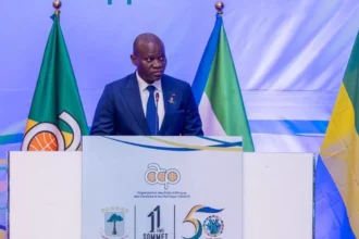 Sommet de l'OEACP : Brice Clotaire Oligui Nguema mise sur le privé pour financer le Plan de développement 2026-2030 du Gabon