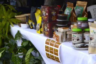 Festival Cacao & Coffee 2026 : Yaoundé s'affirme comme la capitale africaine de l'or noir et brun