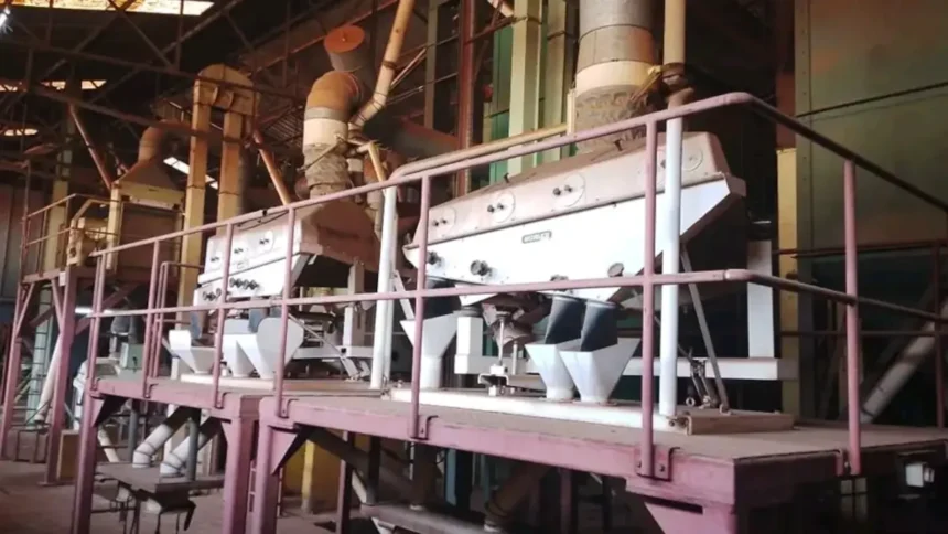 Café au Cameroun : l'UCCAO inaugure une usine à 1 milliard FCFA à Bafoussam 1 Café au Cameroun : l'UCCAO inaugure une usine à 1 milliard FCFA à Bafoussam