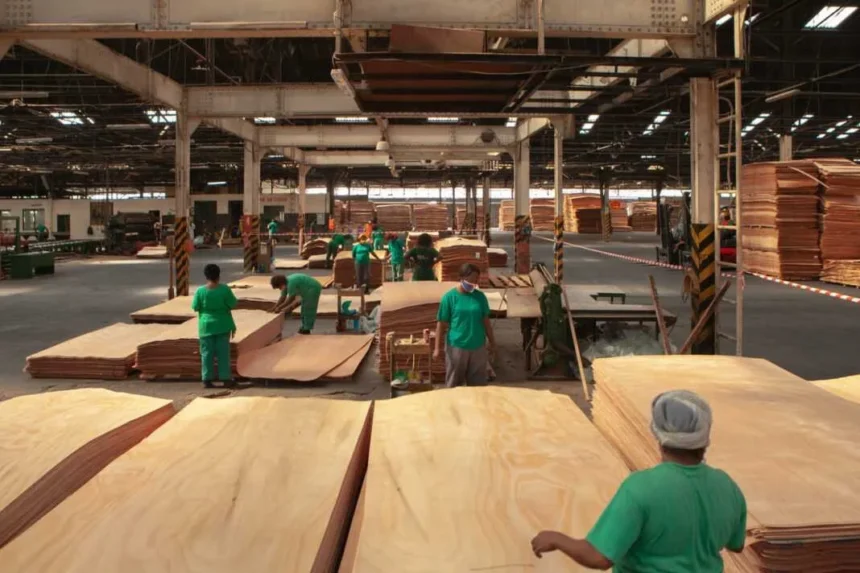 Bois au Gabon : avec +7 % de production au troisième trimestre 2025, la filière confirme son potentiel d’investissement 1 Bois au Gabon : avec +7 % de production au troisième trimestre 2025, la filière confirme son potentiel d’investissement