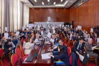 Commerce électronique : 66 membres de l'OMC adoptent des arrangements intérimaires