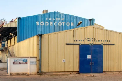 Sodecoton : pourquoi l'AFD annule un prêt crucial de 30 millions d'euros au Cameroun