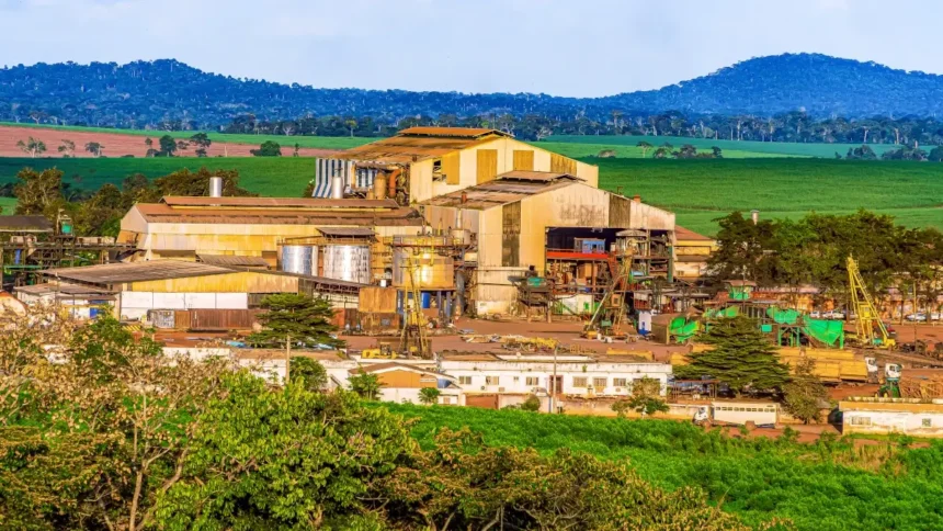 Cameroun : Sosucam investit 2,5 milliards de FCFA dans une unité de sucre en morceaux à Nkoteng 1 Sosucam investit 2,5 milliards FCFA à Nkoteng : Un tournant industriel