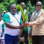 Côte d’Ivoire : 1 077 milliards FCFA annoncés pour accélérer la transformation de la filière palmier à huile