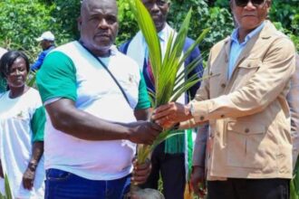 Côte d’Ivoire : 1 077 milliards FCFA annoncés pour accélérer la transformation de la filière palmier à huile