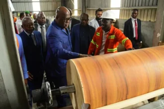 RDC : 12 milliards de dollars pour accélérer la transformation industrielle inspirée du modèle gabonais