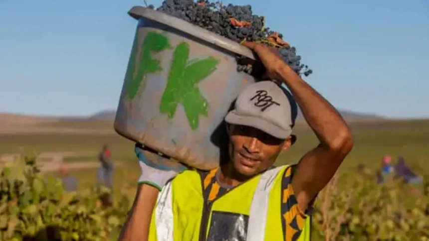 Afrique du Sud : 4 secteurs ciblés pour franchir 3 % de croissance et créer 1 million d’emplois 1 Afrique du Sud : 4 secteurs ciblés pour franchir 3 % de croissance et créer 1 million d’emplois