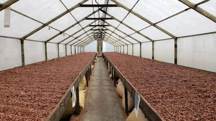 Cacao en Afrique : la traçabilité européenne crée un nouveau marché pour les services agricoles 1 Cacao en Afrique : la traçabilité européenne crée un nouveau marché pour les services agricoles
