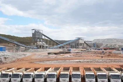 Zimbabwe : l'usine de Goromonzi transforme le lithium local en sulfate à 400 millions de dollars