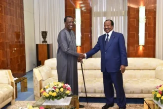Cameroun-Tchad : 557,5 milliards FCFA pour construire un marché régional de l’électricité