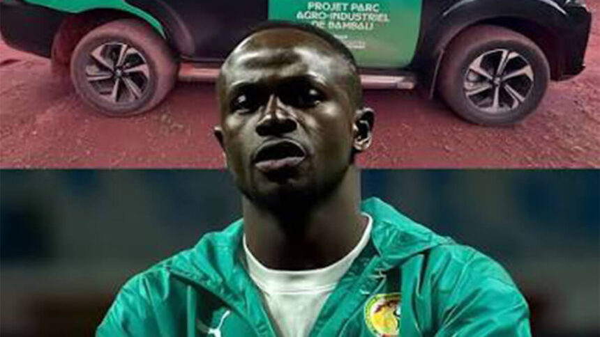 Sénégal : Sadio Mané investit dans 500 hectares pour transformer la mangue à Bambali 1 Sénégal : Sadio Mané investit dans 500 hectares pour transformer la mangue à Bambali
