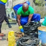 Biogaz : au Cameroun, les déjections animales valent-elles de l’or ?
