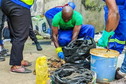 Biogaz : au Cameroun, les déjections animales valent-elles de l’or ?