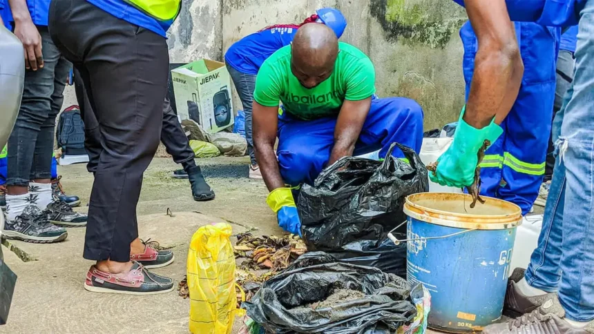 Biogaz : au Cameroun, les déjections animales valent-elles de l’or ?