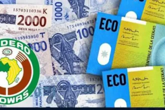 CEDEAO: la longue marche vers l’ECO