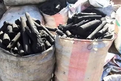 Charbon : quand les tensions sur le gaz domestique relancent la demande au Cameroun