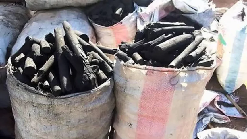 Charbon : quand les tensions sur le gaz domestique relancent la demande au Cameroun