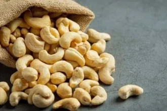 Noix de cajou: un potentiel encore inexploité au Sénégal