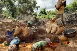 Côte d’Ivoire : les chiffres alarmants de l’orpaillage illégal