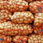 Sénégal: vers la levée du gel de l’importation de la pomme de terre
