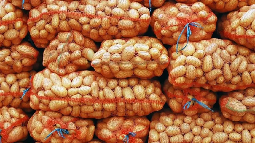 Sénégal: vers la levée du gel de l’importation de la pomme de terre 1 Sénégal: vers la levée du gel de l’importation de la pomme de terre