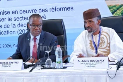 Afrique Centrale : le capital naturel, une richesse encore insuffisamment valorisée