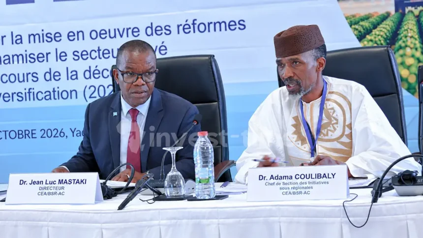 Afrique Centrale : le capital naturel, une richesse encore insuffisamment valorisée