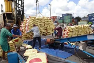 Agriculture : 1 119 milliards de FCFA à mobiliser pour réduire les importations alimentaires au Cameroun