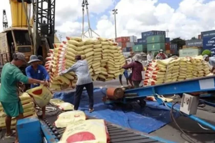 Agriculture : 1 119 milliards de FCFA à mobiliser pour réduire les importations alimentaires au Cameroun
