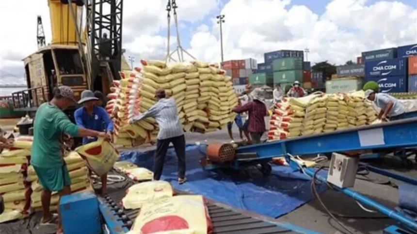 Agriculture : 1 119 milliards de FCFA à mobiliser pour réduire les importations alimentaires au Cameroun