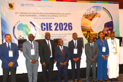 Bois en Afrique centrale : la CEA veut accélérer la transformation locale