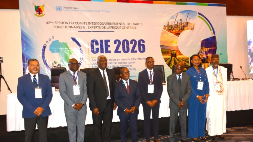 Bois en Afrique centrale : la CEA veut accélérer la transformation locale