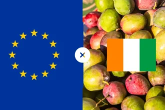 Exportation de mangues : la Côte d’Ivoire face au blocage européen