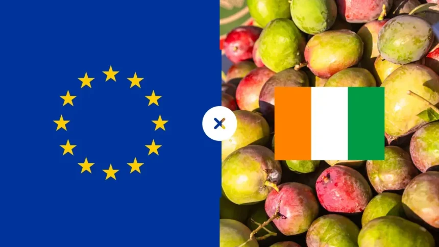Exportation de mangues : la Côte d’Ivoire face au blocage européen