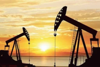Raffinage du pétrole : champ d’opportunités pour l’investissement en Afrique